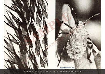 Canon A-1 SLR Camera – Instructions, English – sample page 3 (watermarked preview)